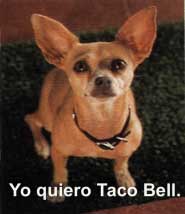 Tacopig