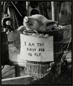 First Pig to Fly - Lord Brabazon